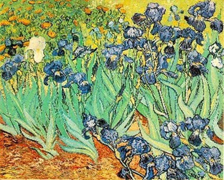 Shortnotes of History Painting of Irises by Vincent van Gogh