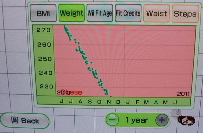 Wii Fit Weight Loss My Wii Fit Experience