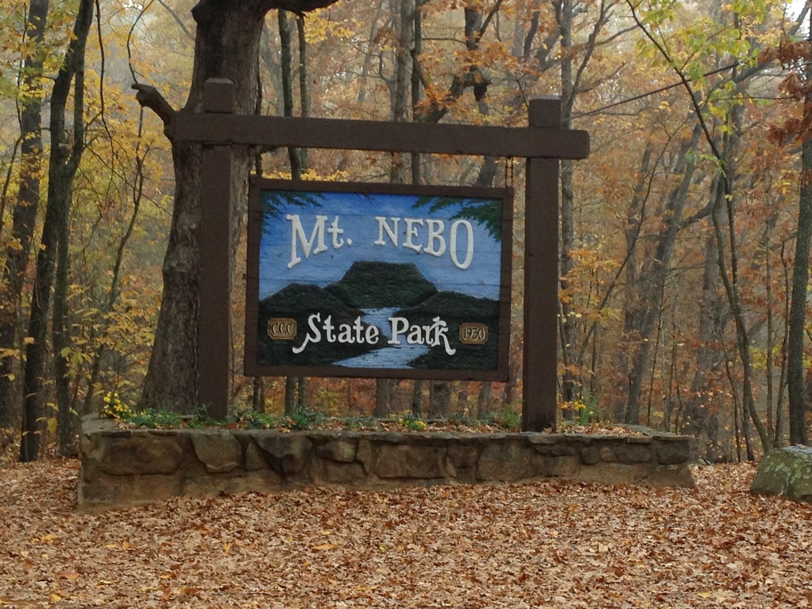 I Run For My Life Mt. Nebo State Park / Turkey Run 5k