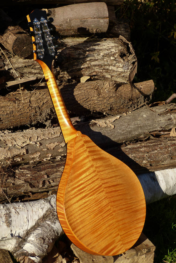 joyspring on mandolin joyspring on mandolin
