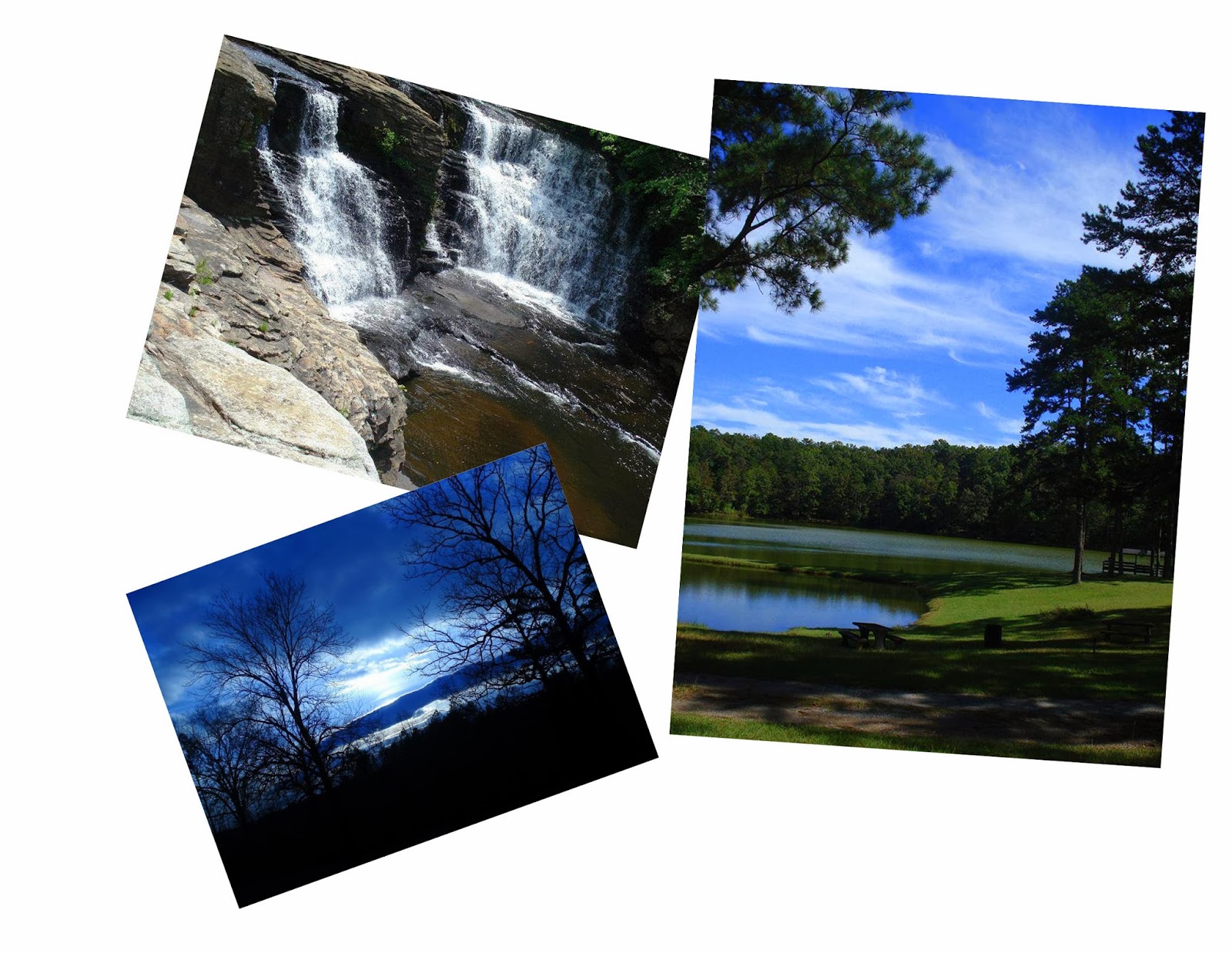 Hibiscus House Hibiscus House Spotlight Author Series Beth Duke