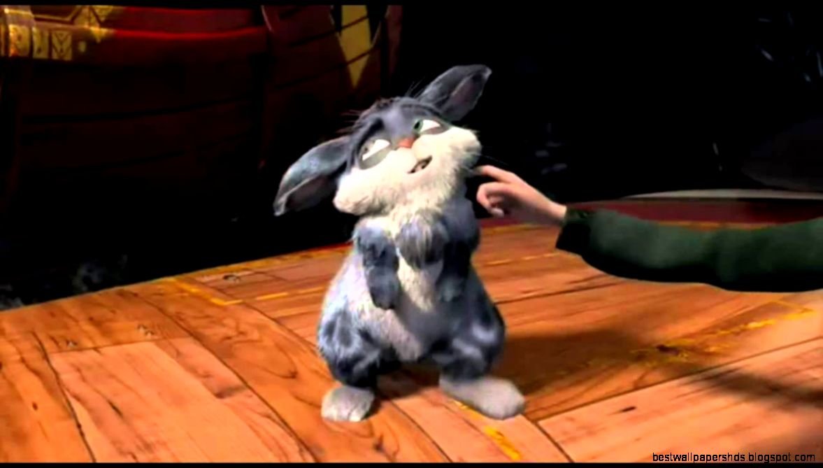 Rise of the Guardians Easter Bunny Tiny and Cute HD YouTube Rise of the Guardians Easter Bunny Tiny and Cute HD YouTube