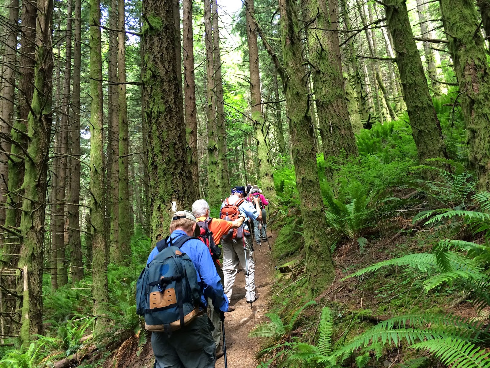 Hears Different Drummer Oyster Dome from Barrel Springs Trailblazer hike