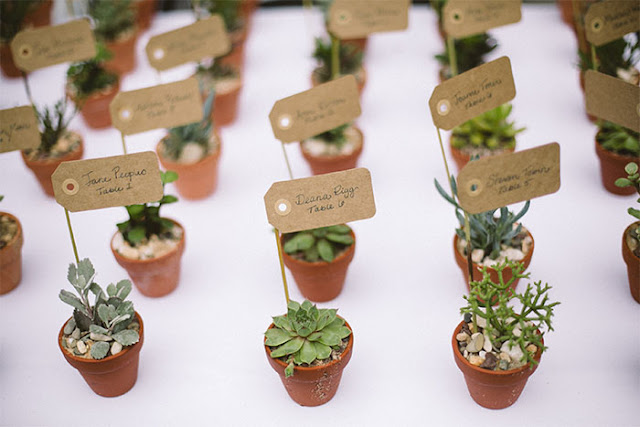 succulents plants wedding table cards