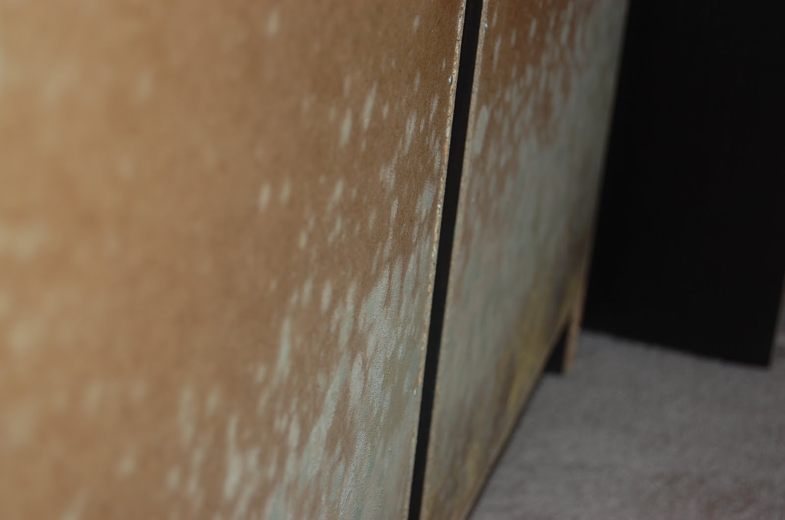 Mold Mold affected furniture