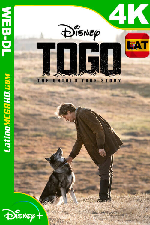 Togo (2019) Latino HDR WEB-DL 2160P ()