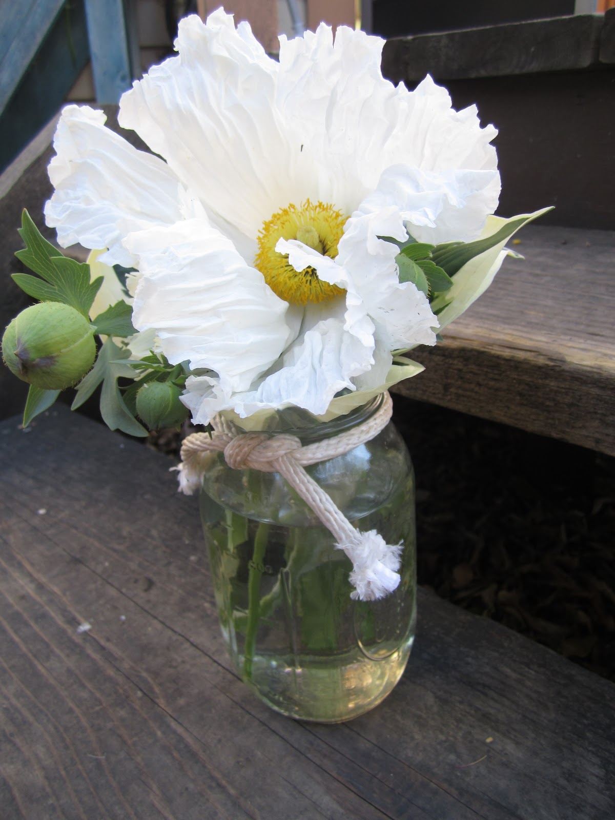 Branching Out Floral Designs Mason Jars & Poppy Whites