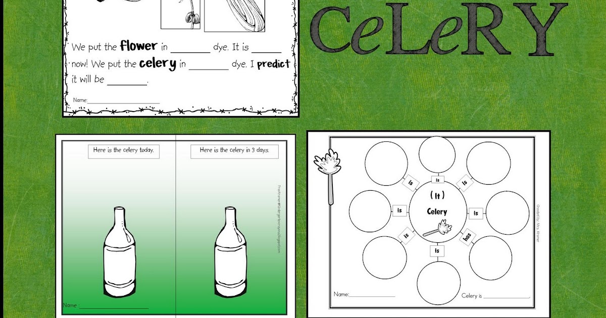 Kindergarten Crayons Sensational Celery