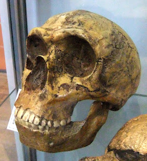 THE NEPHILIM - A BIBLICAL MYSTERY OF GIANT PROPORTIONS 22