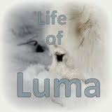 Life of Luma