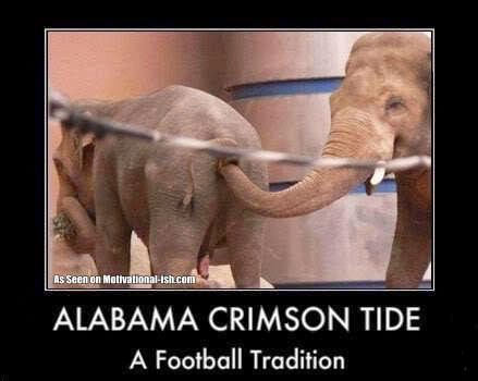 Alabama%2Bcrimson%2Btide%2Ba%2Bfootball%2Btradition.jpg