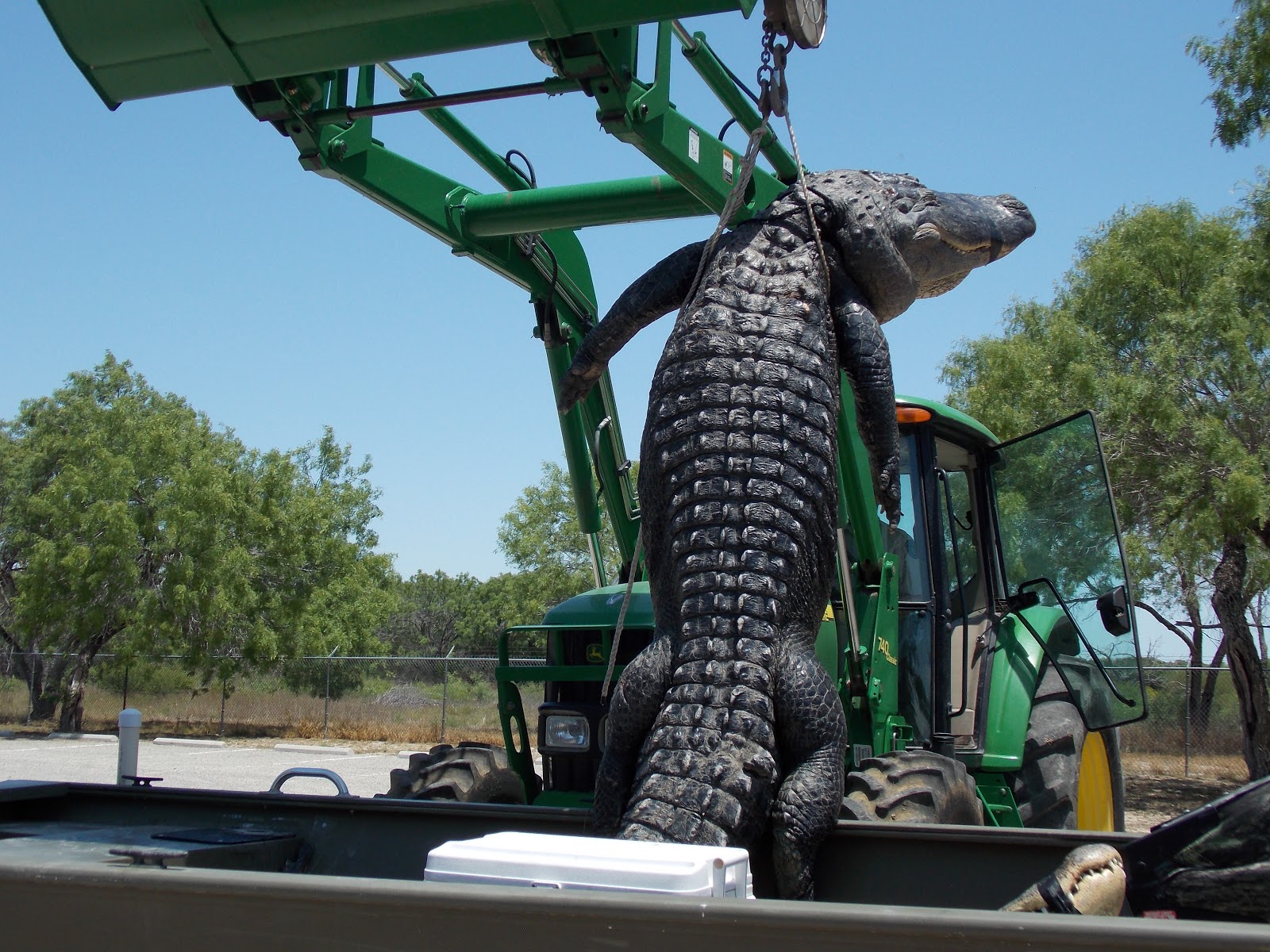 The Wild Side Public Hunter Bags New Texas State Record Alligator