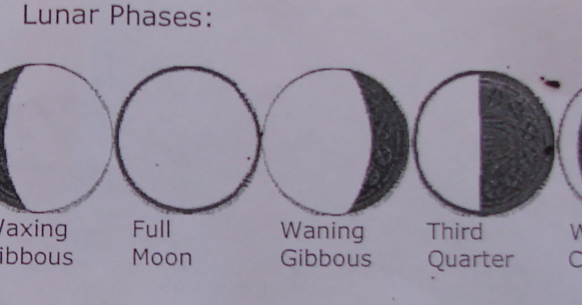 First Grade Lyons' Den: Moon Phases