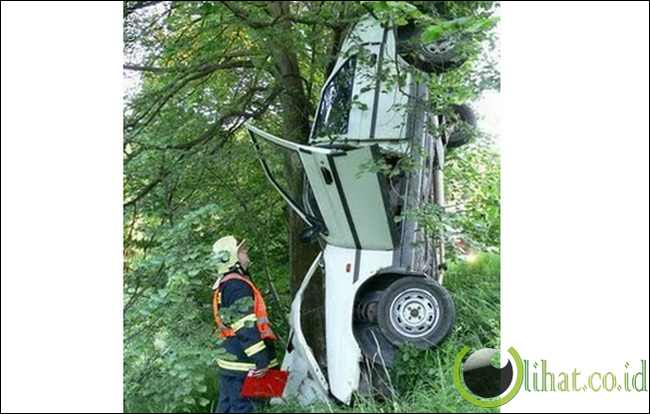 Tersangkut di Pohon Tersangkut di Pohon