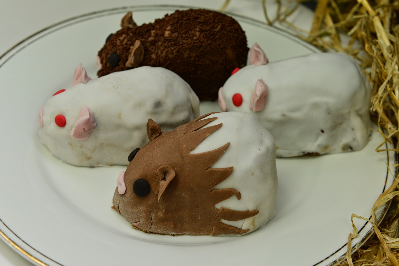 guinea pig cakes