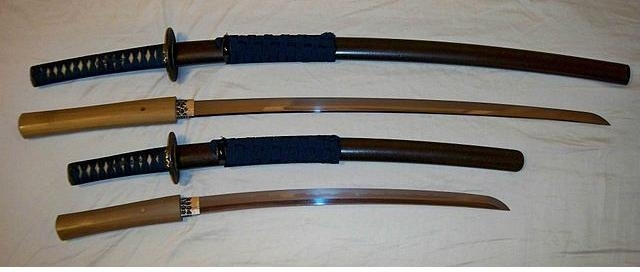 Ninjutsu Argentina: SHINDEN FUDO RYU DAKENTAIJUTSU HAPPO HIKKEN JUTSU