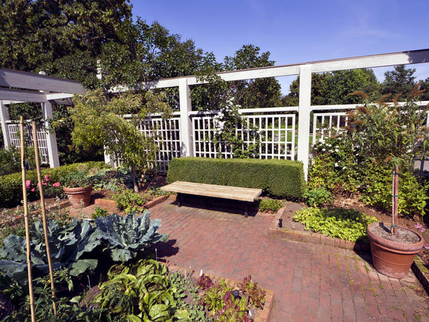 PARACHA FARM: Top 10 Rules for Growing a Kitchen Garden