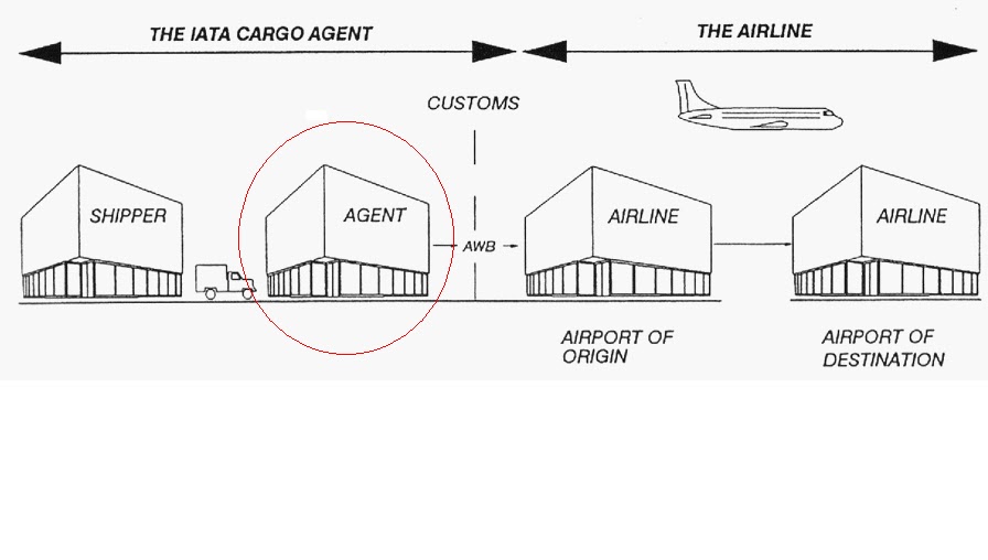 Comercio exterior & Gestion de transporte AGENTE DE CARGA IATA SUS