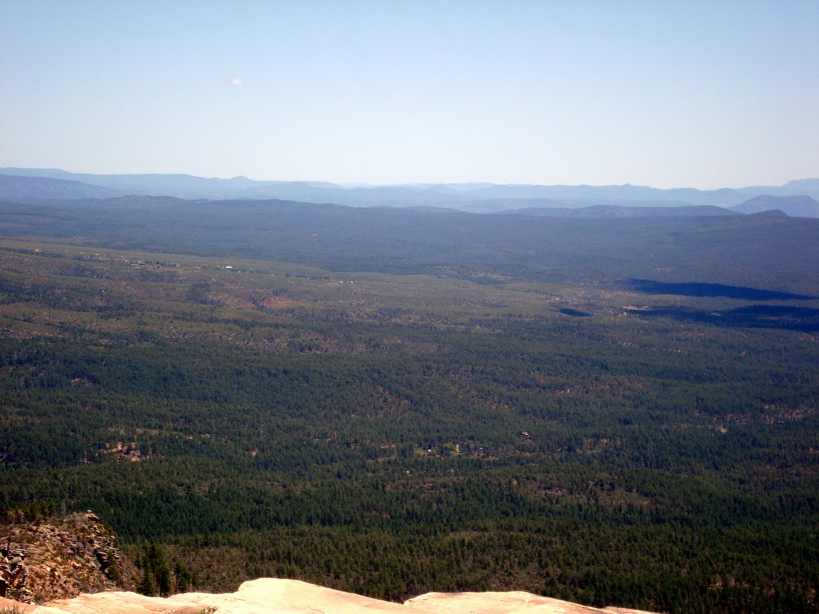 Highway Runner A DRIVE ON THE MOGOLLON RIM, FOREST ROAD 300
