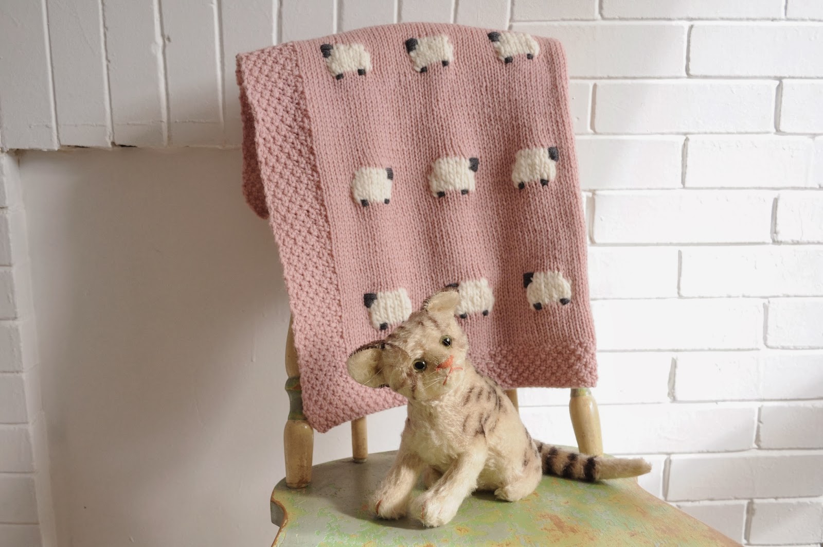 fieldguided: baa baa black sheep