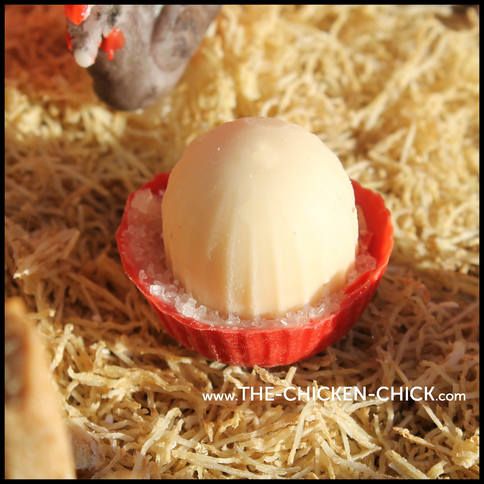 Gingerbread Chicken Coop Instructions with Video Tour! The Chicken Chick®