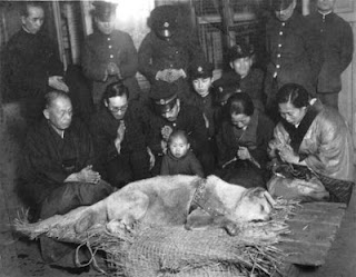 hachiko+dead.jpg