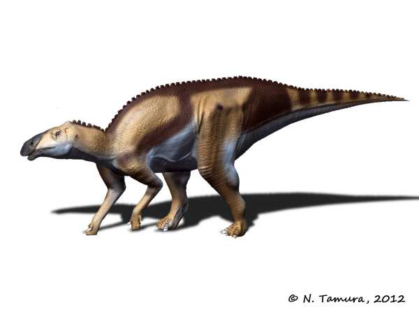 Kundurosaurus - ein weiterer Hadrosaurier aus dem Amur-Gebiet Kundurosaurus+NT