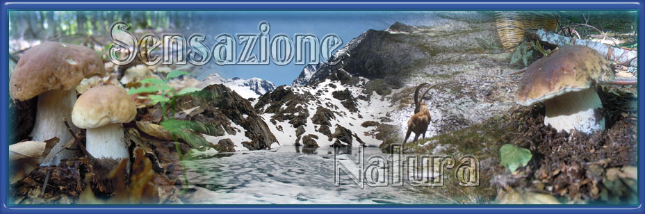 SENSAZIONE NATURA