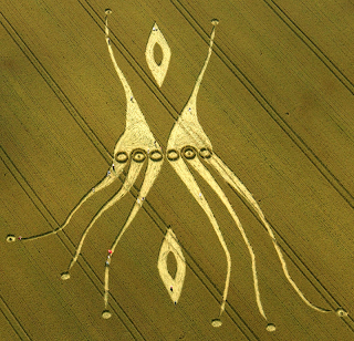 #Misterio en Salta: aparecieron círculos OVNI en campos de trigo#Nuevos Círculos de las Cosechas en 2011 al 2015 - Página 11 20120726+pulpo