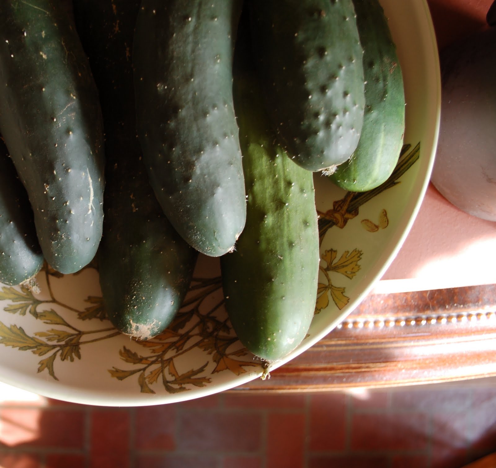 The Spice Garden: 08.2011