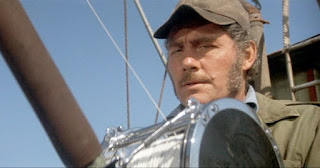 Jaws_079Pyxurz.jpg