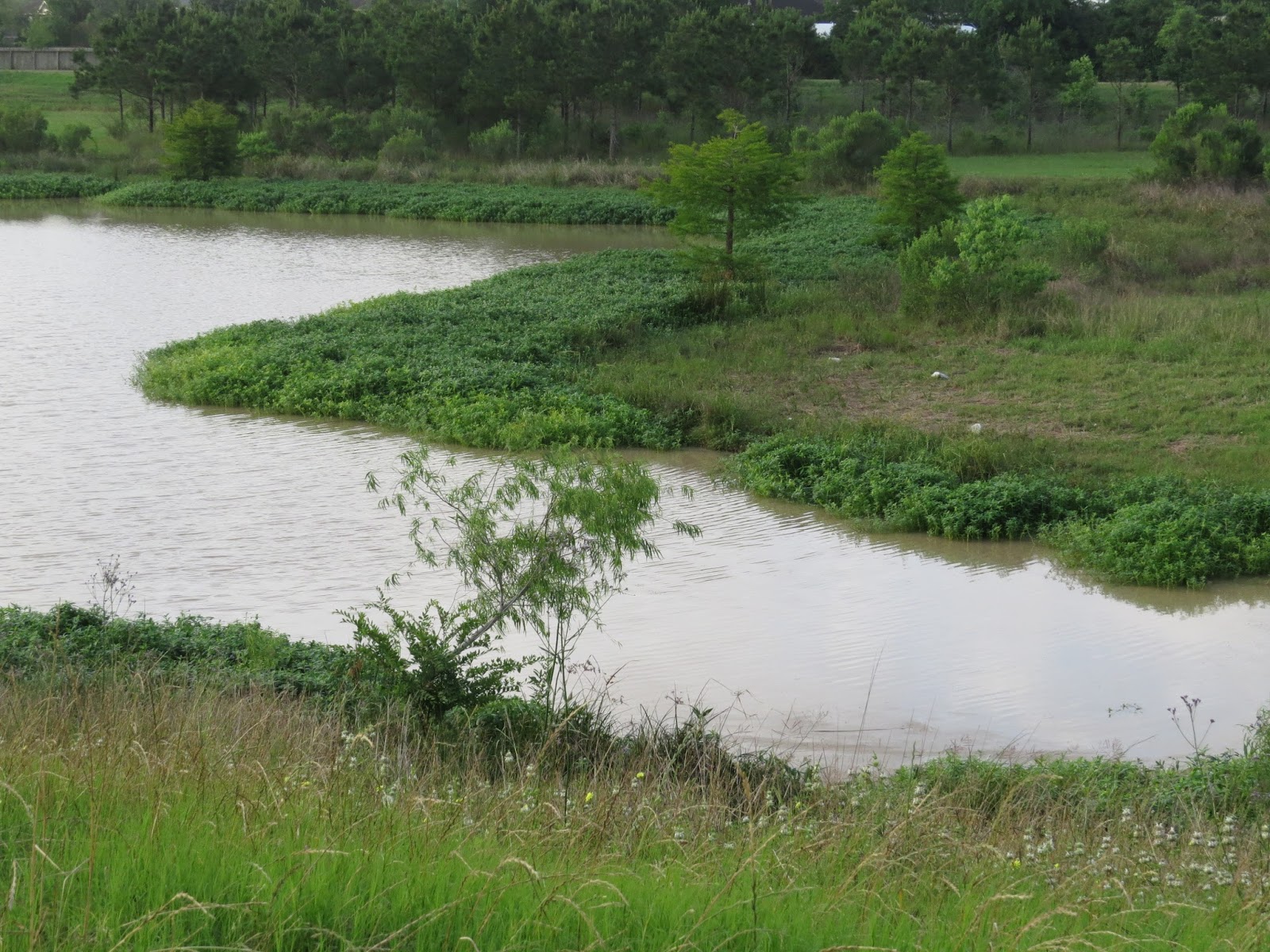 Where To Fish In Houston?? 149 Mason Creek Park