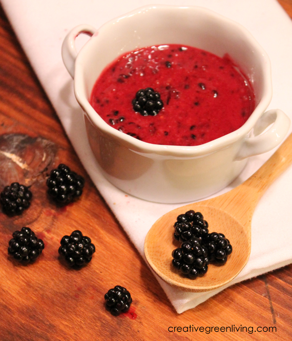 Blackberry Honey Mustard Dipping Sauce Recipe Creative Green Living