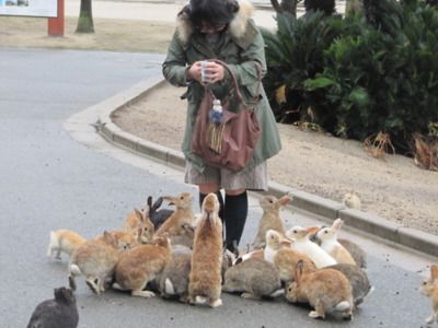 [imagetag] Okunoshima Pulau Kelinci [DuniaQ Duniamu]