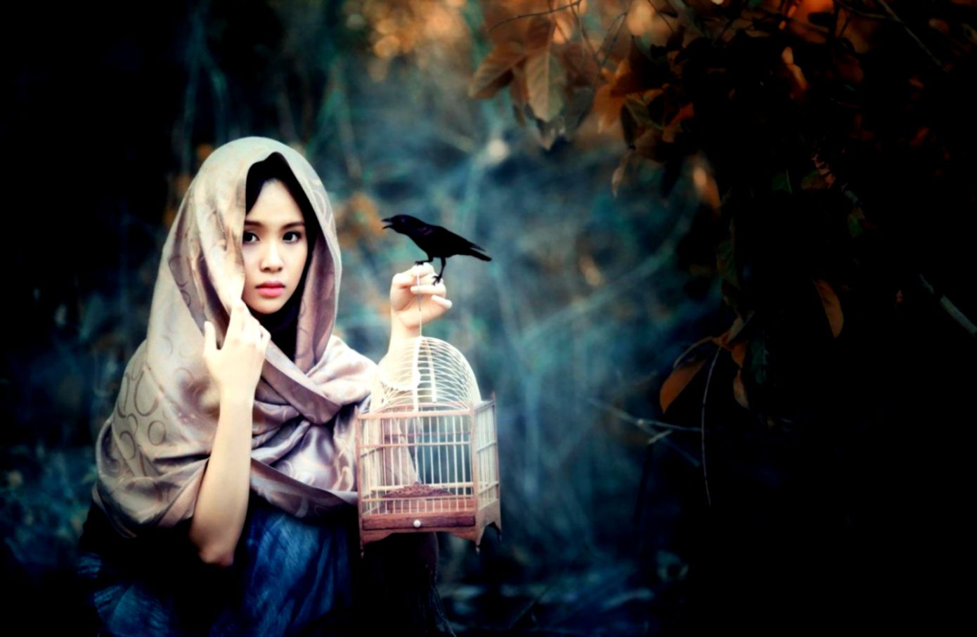 Birds Cage Photo Hd Wallpaper HD Wallpapers Birds Cage Photo Hd Wallpaper HD Wallpapers