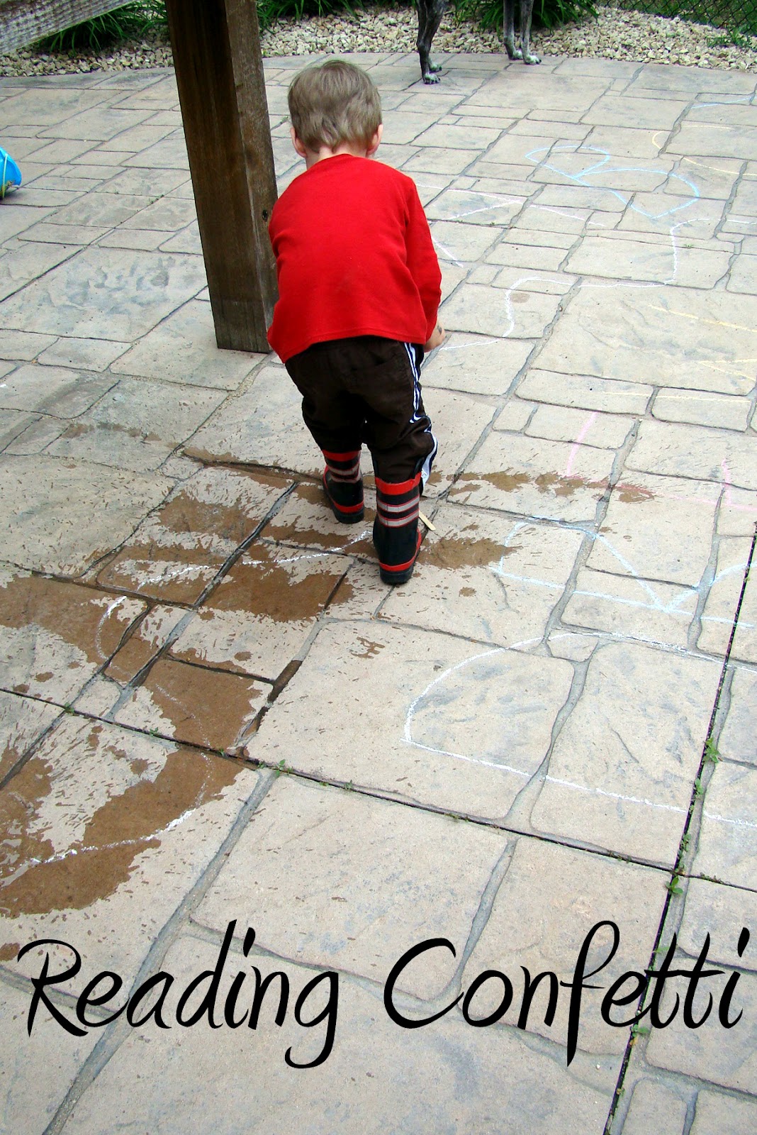 Disappearing Letters (Tracing Practice) Reading Confetti