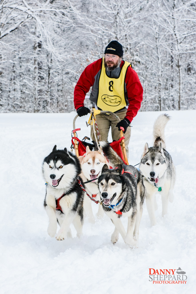 Marmora SnoFest Dogsled Races Marmora SnoFest Dogsled Races