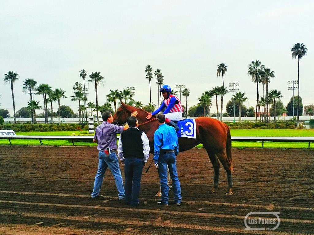 Kentucky Derby Saturday at Churchill Downs LosPonies