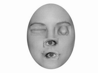 Prosopagnosia adalah ketidakmampuan untuk mengenali wajah, baik diri sendiri maupun orang lain. Gambar ini biasanya digunakan untuk melakukan tes pada orang yang diduga mengalami prosopagnosia.