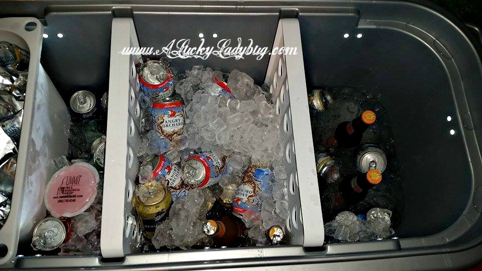 A Lucky Ladybug Party Hard w/ Igloo® Party Bar™ Review