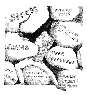 effect of stress on students Both acute and chronic stress are bad for students of any age, but the effects are particularly dangerous in early development as the this american life episode explores in-depth, students that live below the poverty line, are the victims of neglect or abuse, or have a parent with a history of mental illness or substance abuse are far more . effect of stress on students Both acute and chronic stress are bad for students of any age, but the effects are particularly dangerous in early development as the this american life episode explores in-depth, students that live below the poverty line, are the victims of neglect or abuse, or have a parent with a history of mental illness or substance abuse are far more .