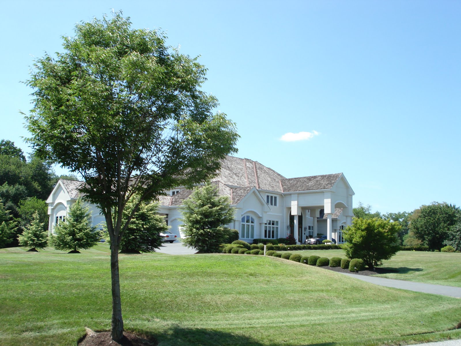 "Behind the Gates of BowieWoodmore Enchantment"