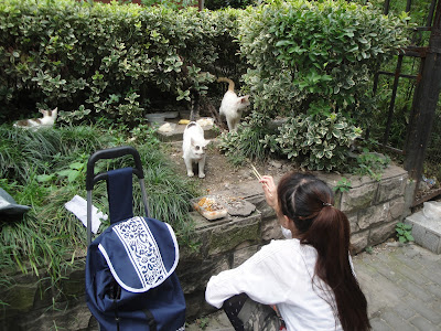My Travels in China: Shanghai Day 3 (Part 1)