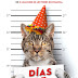 "Días de perros" de Gilles Legardinier