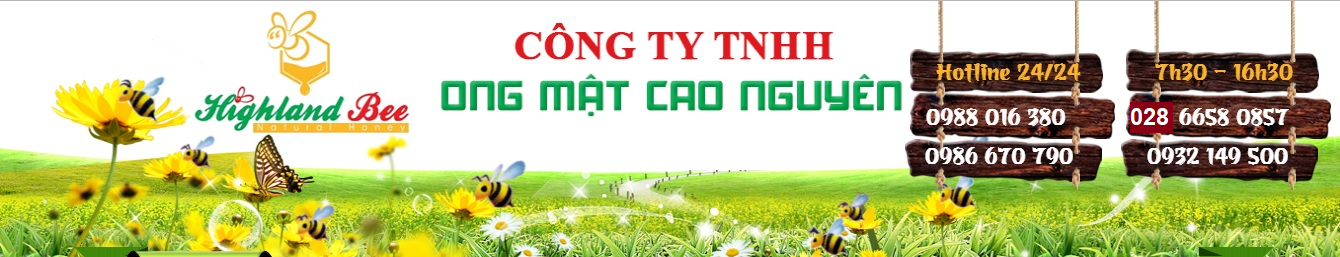 MẬT ONG CAO NGUYÊN HIGHLANDBEE