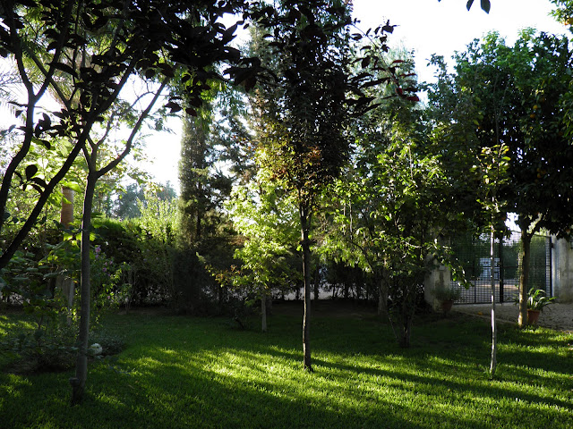 El Terrao - Dos urbanitas en el campo: EL JARDÍN