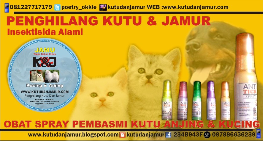 Www Kutudanjamur Com Jamu Knj Dan Anti Tick Solusi Terampuh Mengatasi Kutu Dan Jamur Pada Anjing Dan Kucing Anda