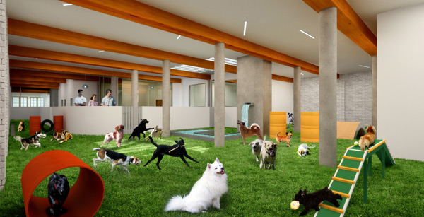 Oasis Indoor Dog Park Oasis Indoor Dog Park
