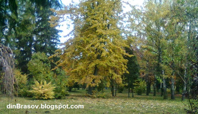 Din Brasov Toamna Prin Parcul Tractorul Poze