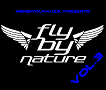 DOWNLOAD FLY BY NATURE WOLFSTRUMENTALS VOL.3 NOW